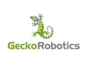 Geckorobotics