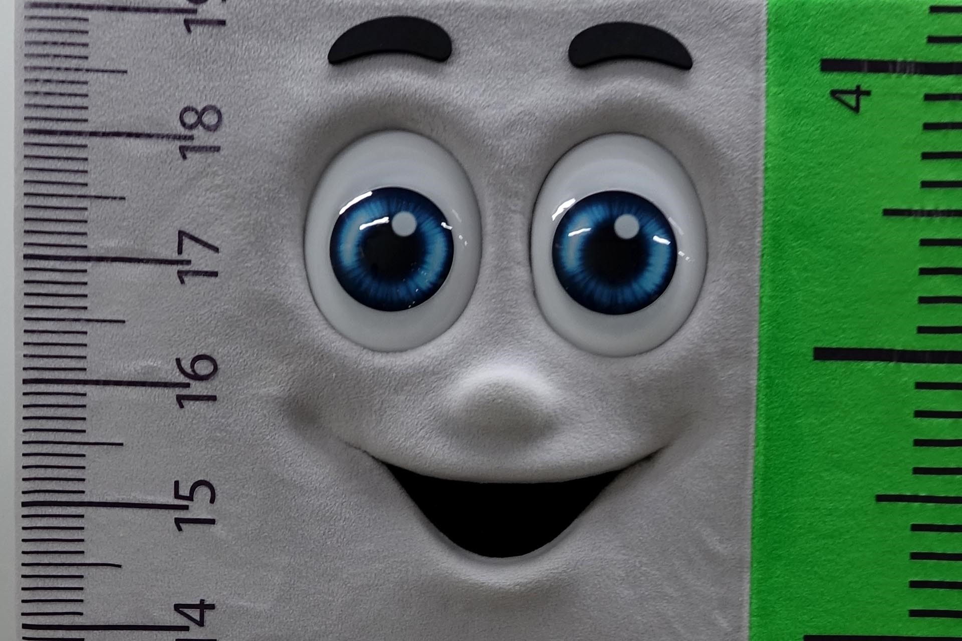 MASKOT | Photo Gallery