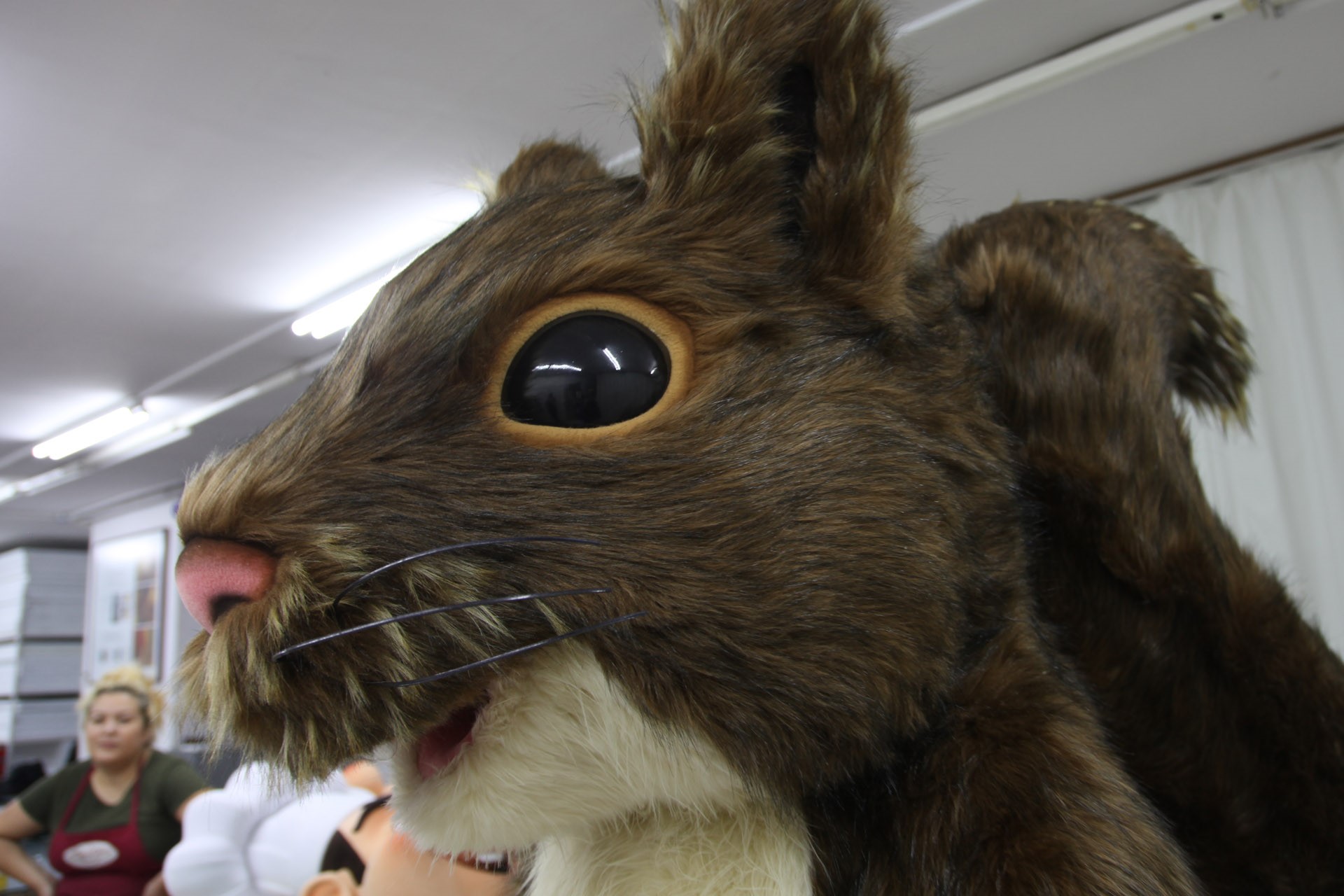 MASKOT | Photo Gallery