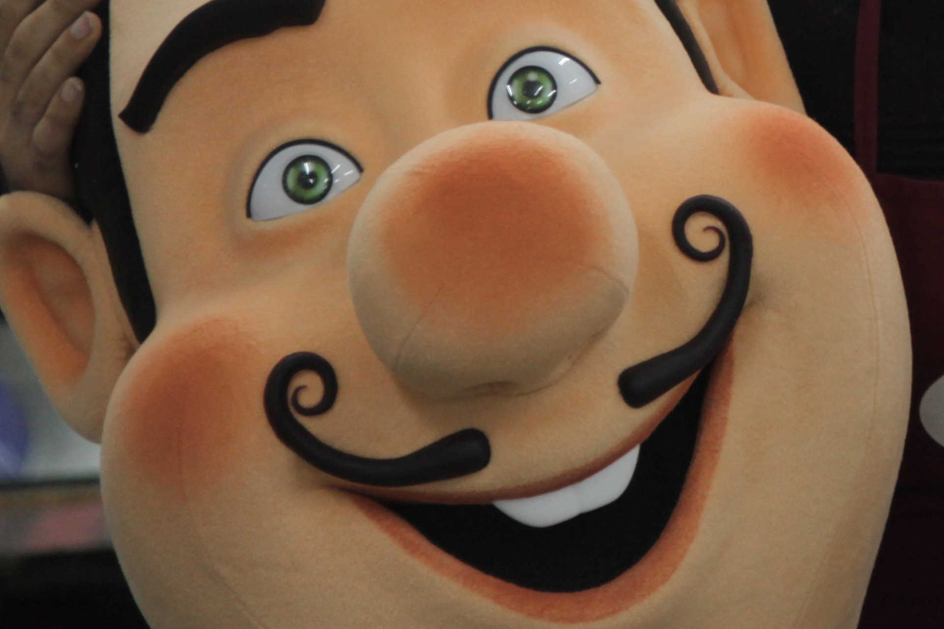 MASKOT | Photo Gallery