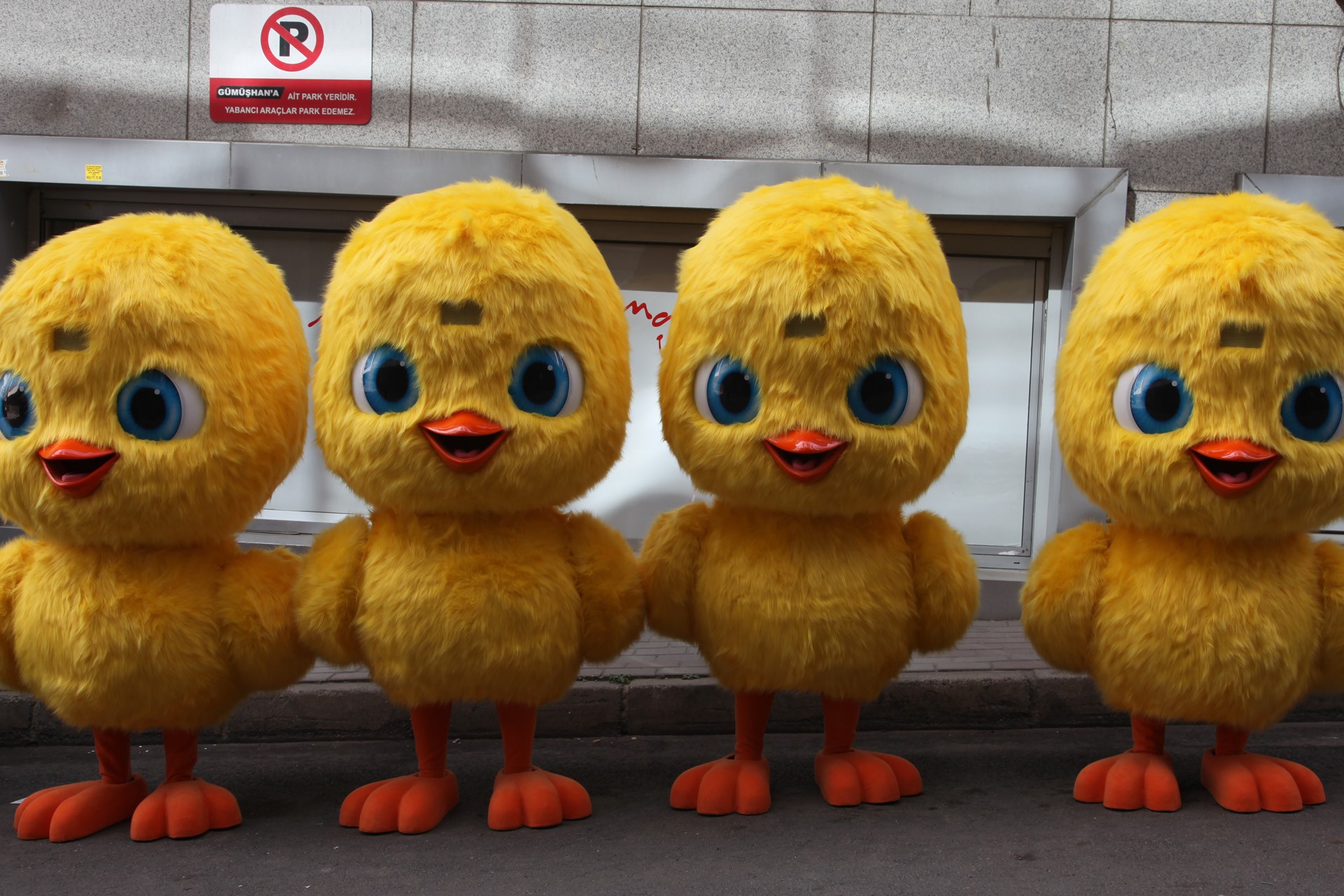 MASKOT | Photo Gallery