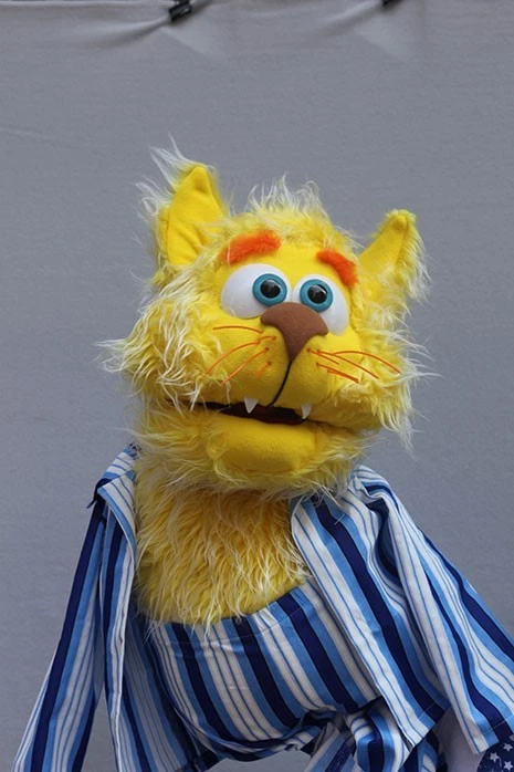 EV KEDİSİ - TANTANA