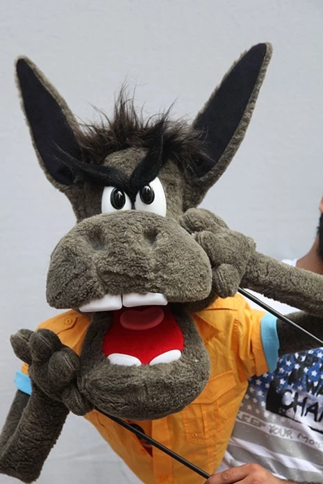 KİNLİ EŞEK - TANTANA