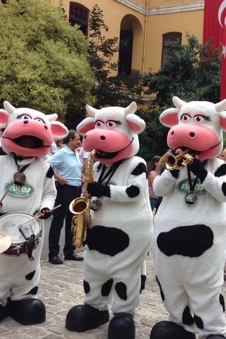 COW BAND - SÜTAŞ
