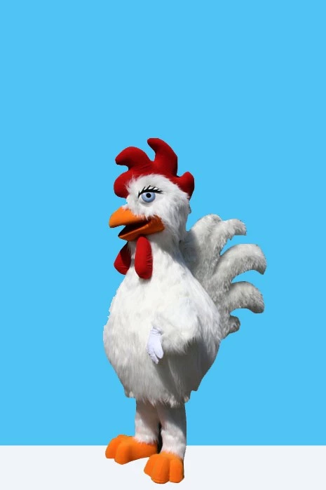 CHICKEN - ER PİLİÇ