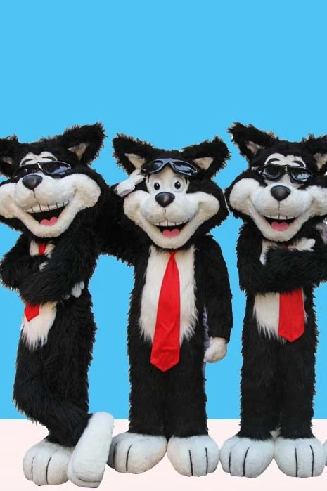 WHITE COLLAR CAT - CADBURY