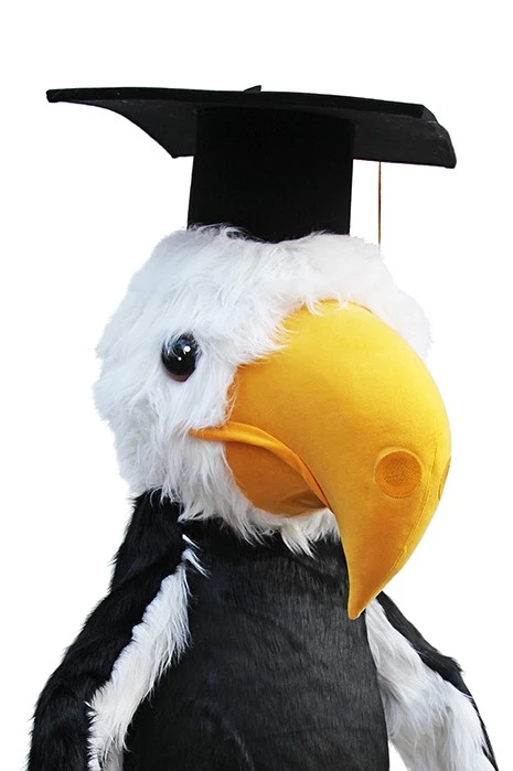 Y. KARTAL - AMERİKAN ÜNİVERSİTESİ