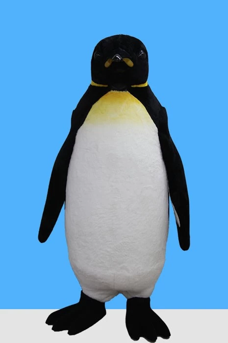 SARI LEKELİ PENGUEN