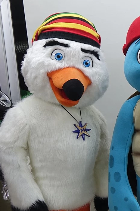 FOK, KAPLUMBAĞA VE MARTI