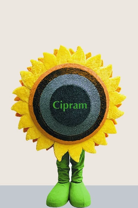 SUN FLOWER - CİPRAM