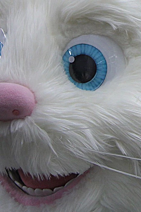 TECHNO CAT TEKİR - TÜRK TELEKOM