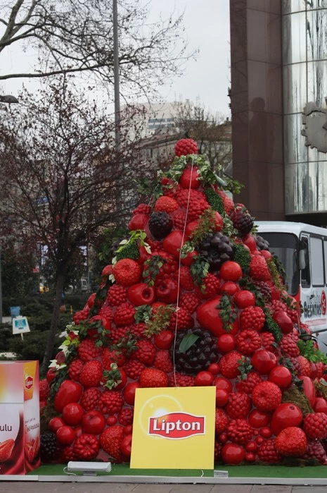 FRUİT TEA BAGS - LİPTON