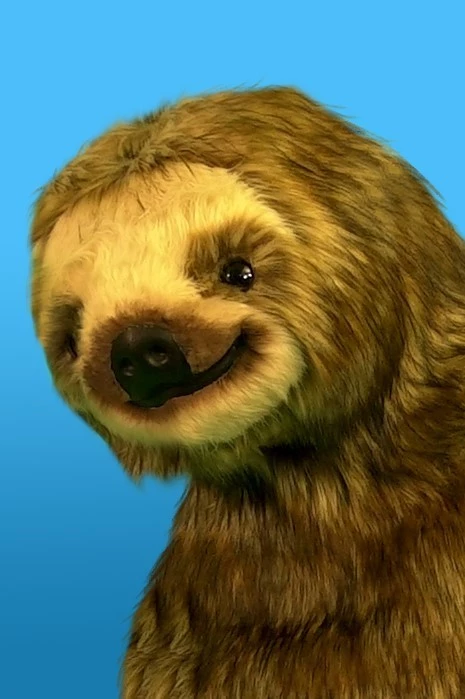 CUTE SLOTH