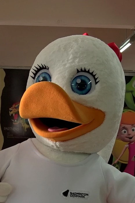 BADMINTON DUCKS