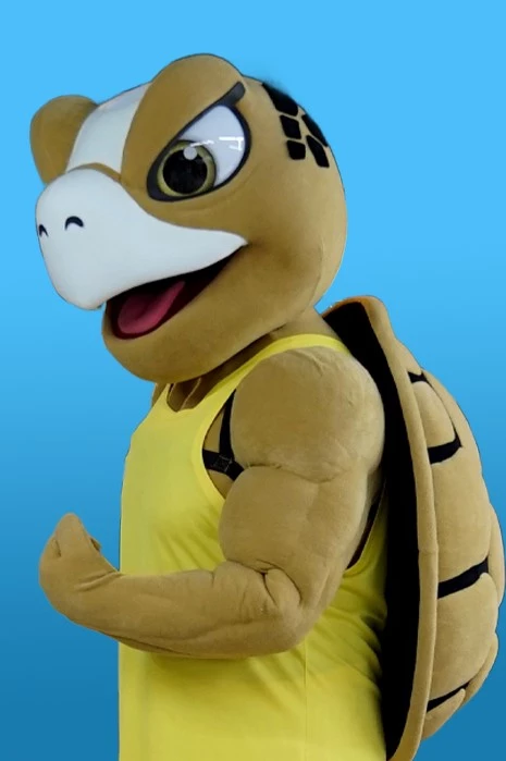CARETTA MSK