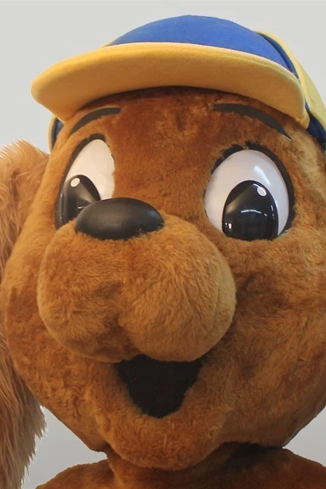 TRACK DOG - DAYS RESORT