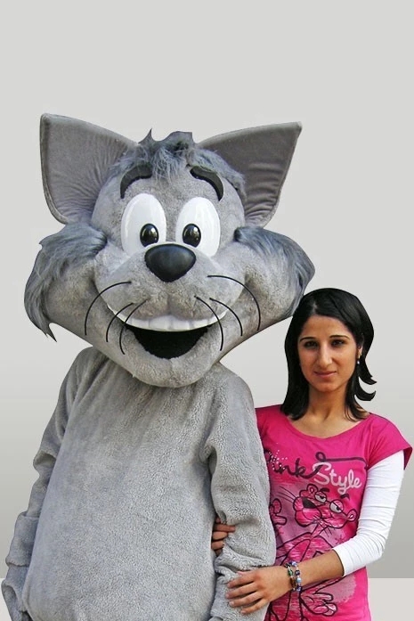 GRİ KEDİ - WHISKAS