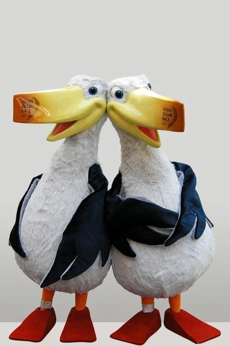 ALBATROS - VOLVO TEKNE YARIŞLARI