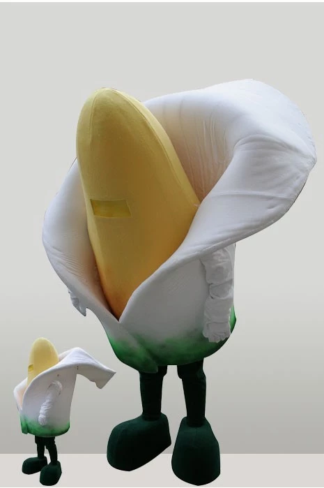 INOPRA - CORN FLOWER