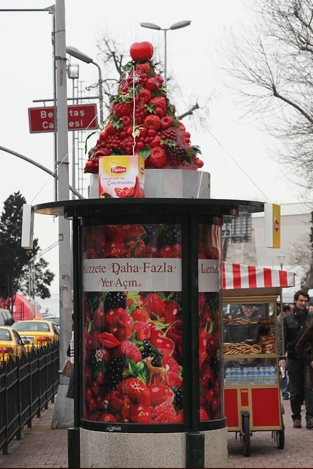 FRUİT TEA BAGS - LİPTON