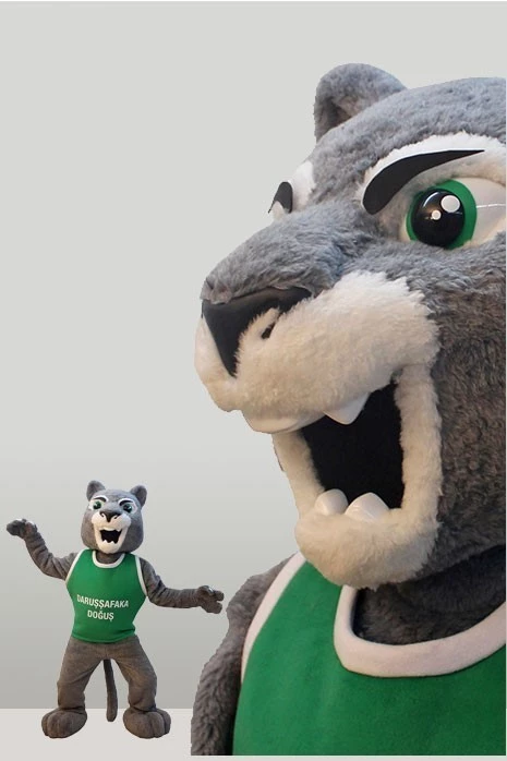 DARUŞŞAFAKA SPORTS CLUB