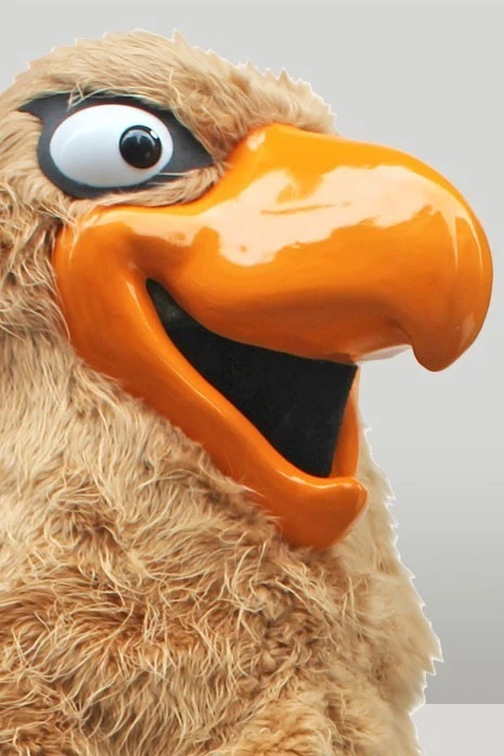 EAGLE - KASTAMONU BASKETBOL TEAM