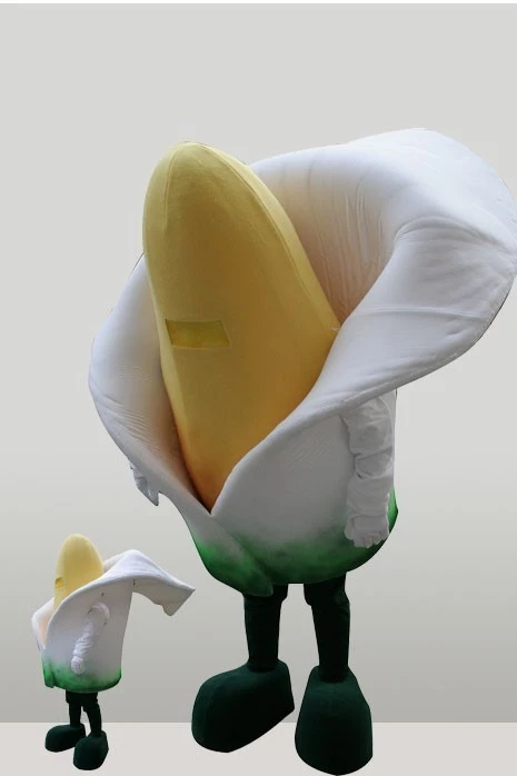 INOPRA - CORN FLOWER