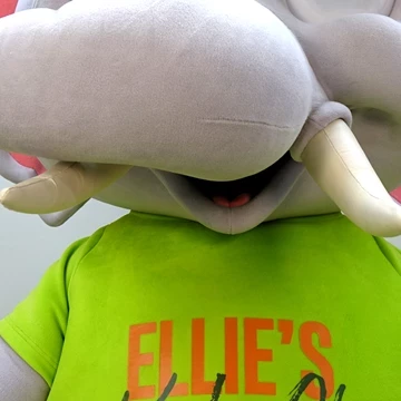 ELLIE'S ELEPHANT 5