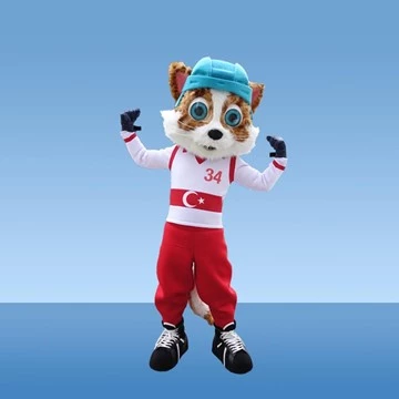 TÜRKİYE ICE HOCKEY FEDERATION 3