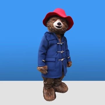 AYI - PADDINGTON 5