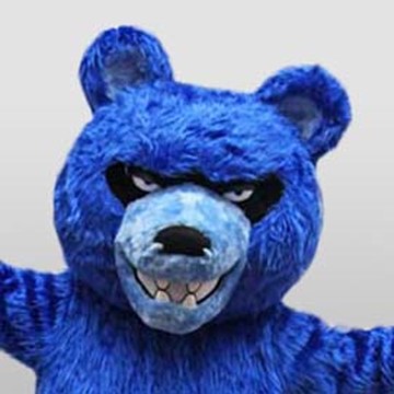 MASKOT | BLUE BEAR - I.F