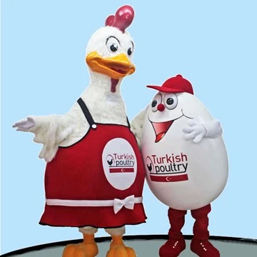 CHICK AND EGG - TURKISH POULTRY 3