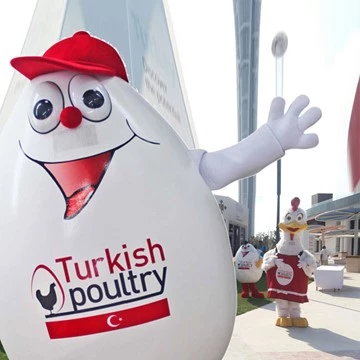 CHICK AND EGG - TURKISH POULTRY 4