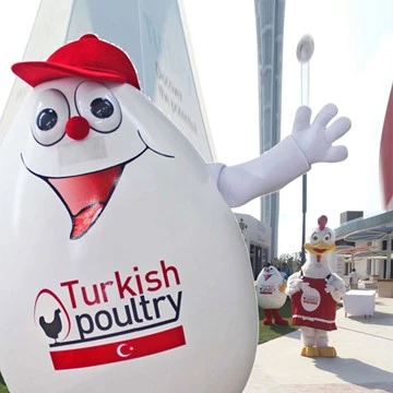 TAVUK VE  YUMURTA - TURKISH POULTRY 4