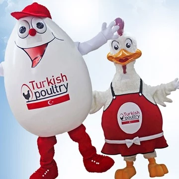 CHICK AND EGG - TURKISH POULTRY 7