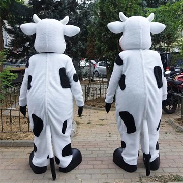 COW BAND - SÜTAŞ 8