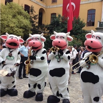 COW BAND - SÜTAŞ 9