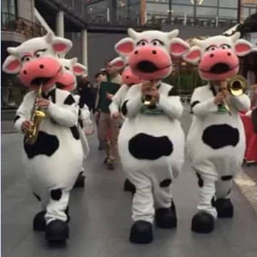 COW BAND - SÜTAŞ 16