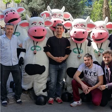 COW BAND - SÜTAŞ 17