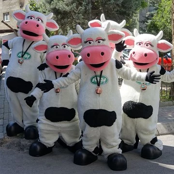 COW BAND - SÜTAŞ 18