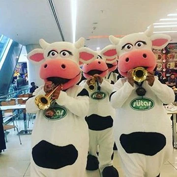 COW BAND - SÜTAŞ 19