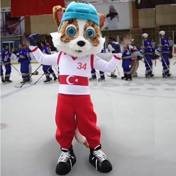 TÜRKİYE ICE HOCKEY FEDERATION 5