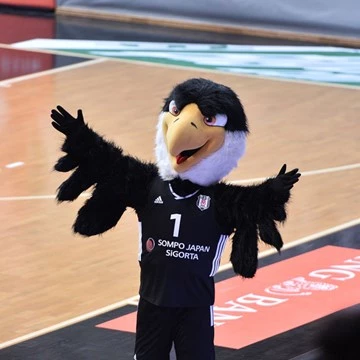 r/besiktas: Nest of Black Eagles