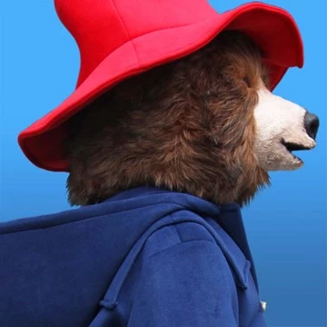 BEAR - PADDINGTON 3