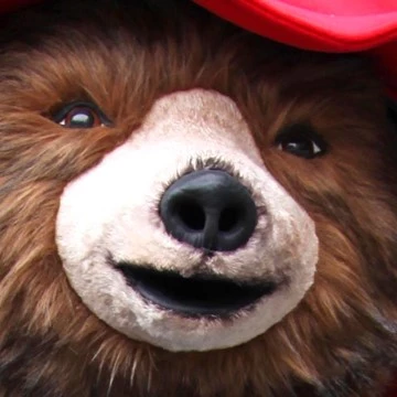 BEAR - PADDINGTON 2