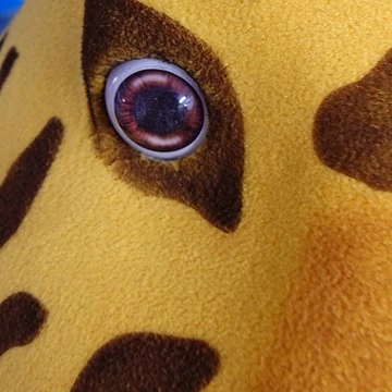 YELLOW LEOPARD 5