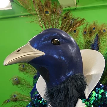 PEACOCK 2