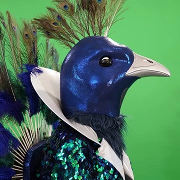 PEACOCK 4