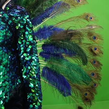 PEACOCK 15