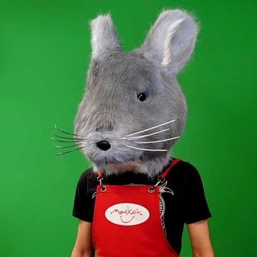 CHINCHILLA 5